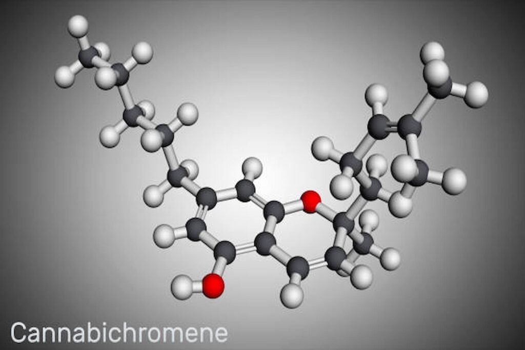 Cannabichromene: How Does It Interact With Our Body?