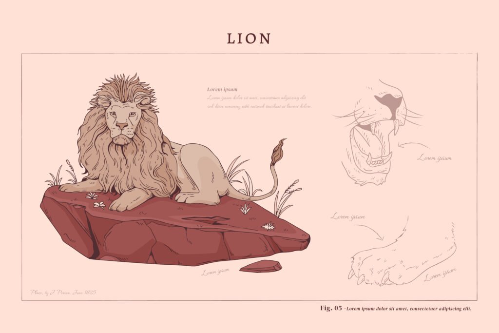 The Power of Your Zodiac Gem: The Leo Birthstone Leo Birthstone